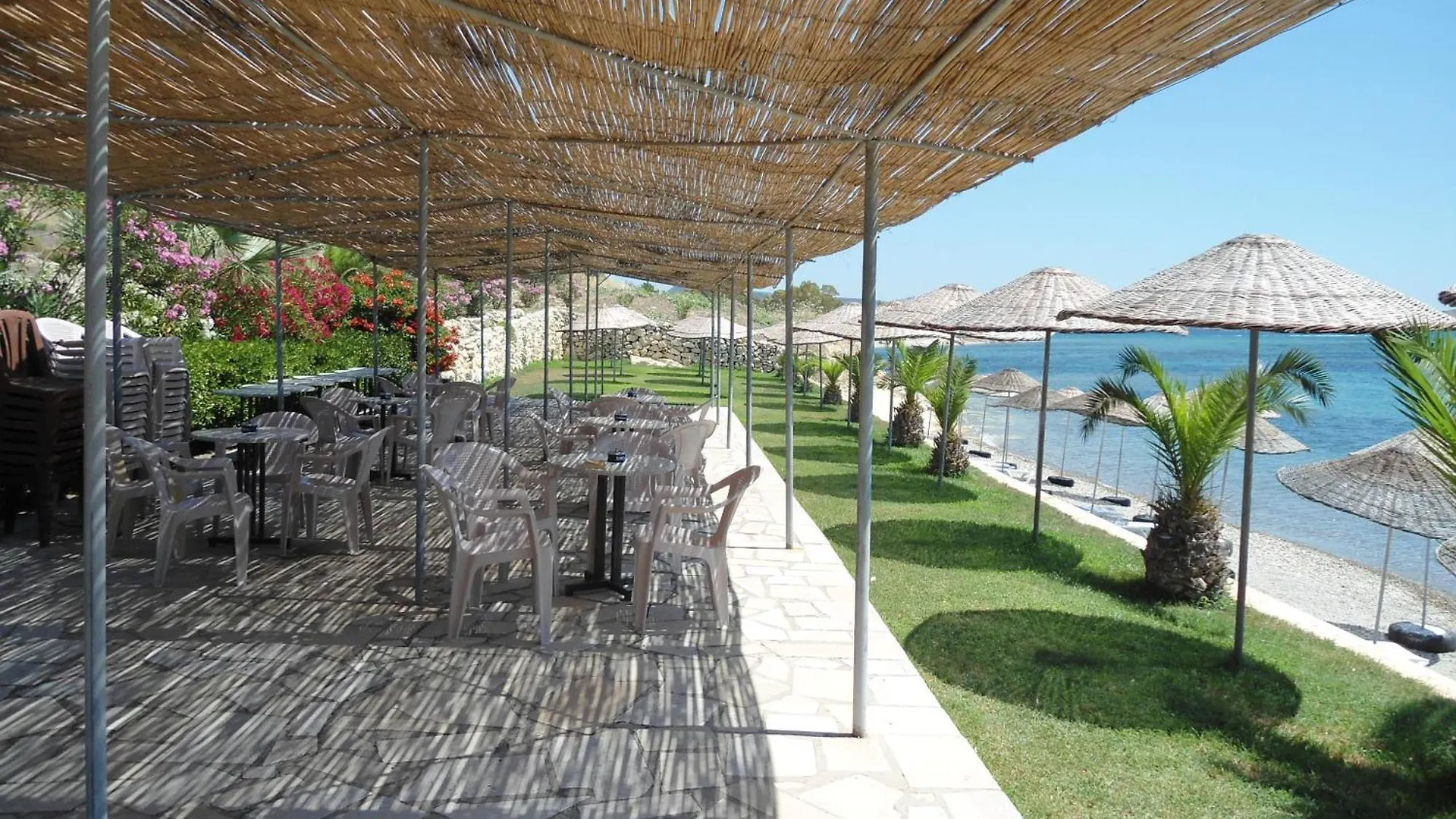 Teras Motel Foca